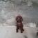 CUCCIOLI di Bracco Tedesc foto 1